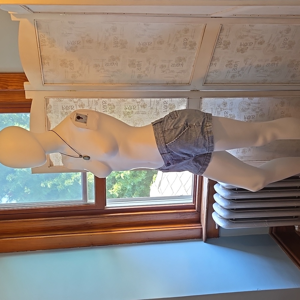 Striped Blue Women's Shorts